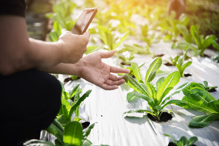 Sustainable crop solutions